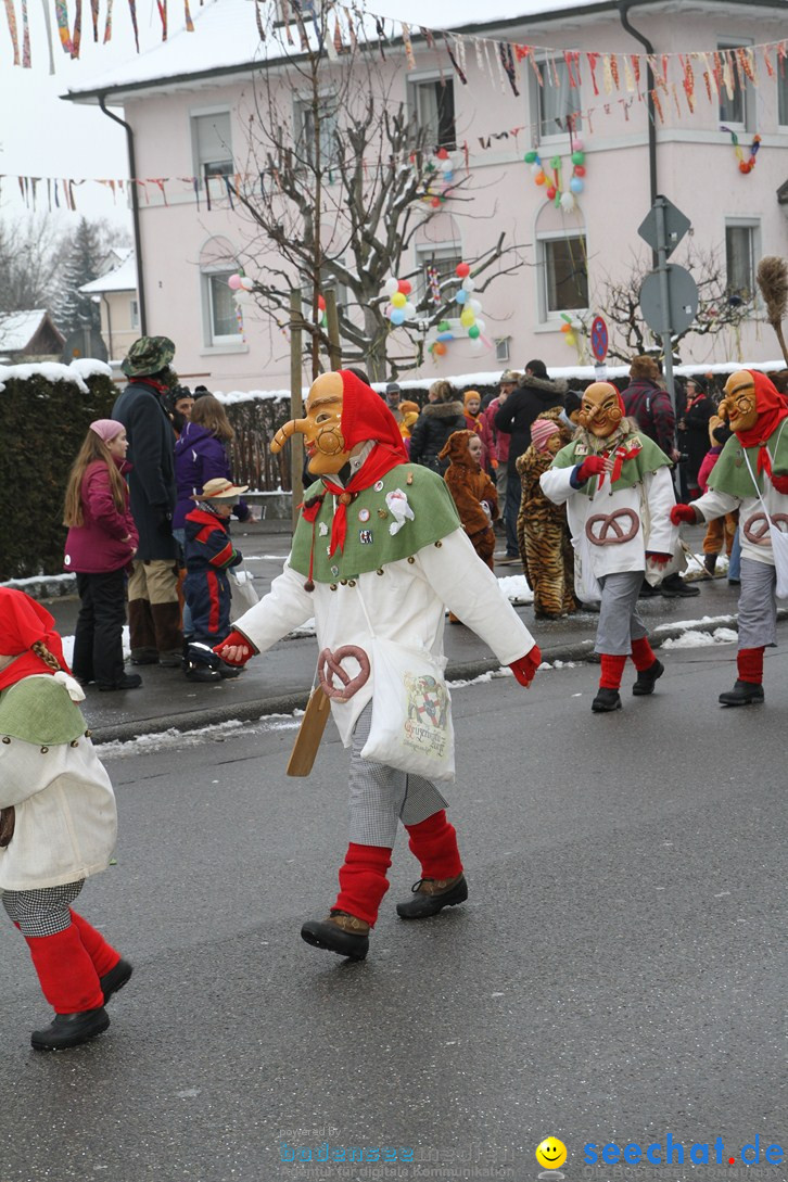 Narrentreffen-Radolfzell-20012013-bodensee-community-seechat-de_76.JPG