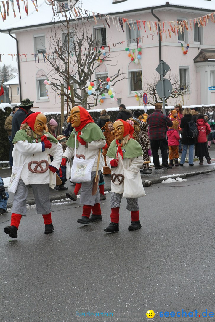 Narrentreffen-Radolfzell-20012013-bodensee-community-seechat-de_77.JPG