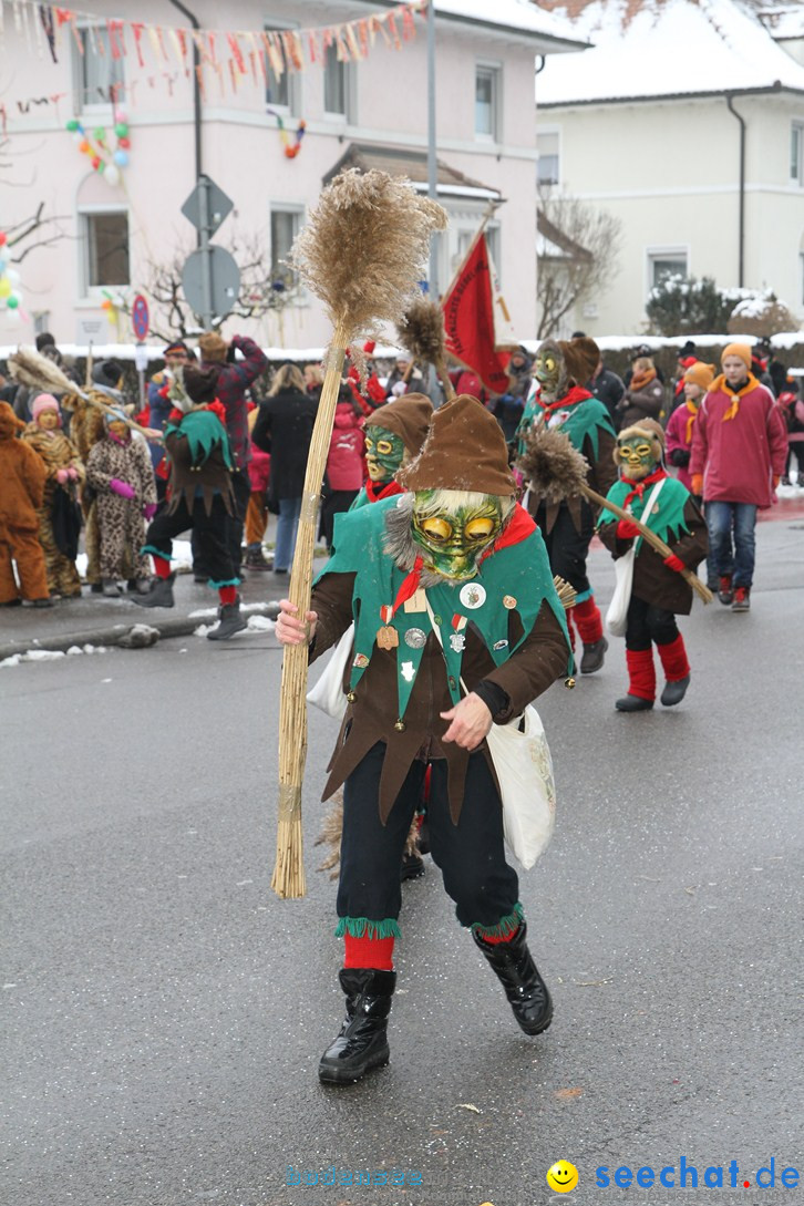 Narrentreffen-Radolfzell-20012013-bodensee-community-seechat-de_78.JPG