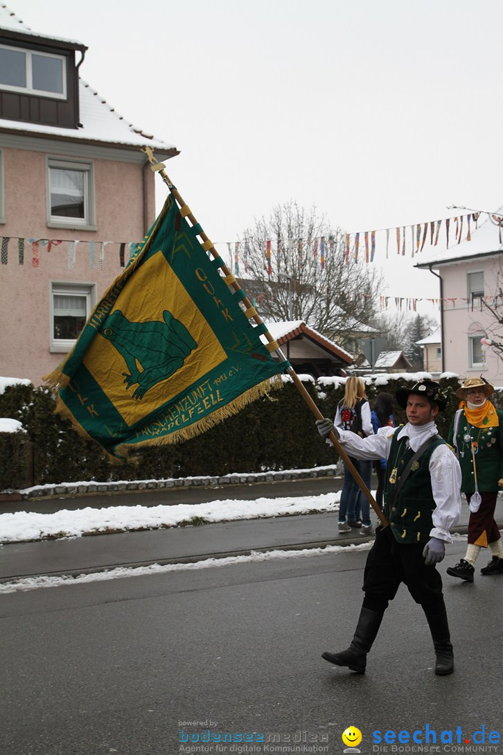 Narrentreffen-Radolfzell-20012013-bodensee-community-seechat-de_79.JPG