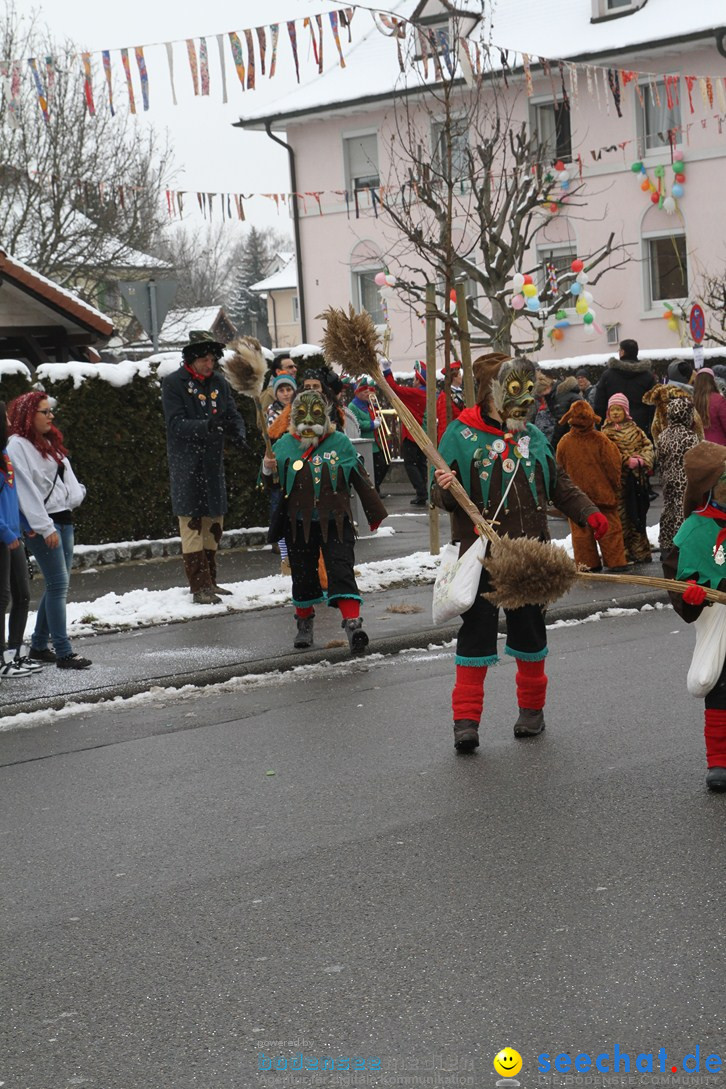 Narrentreffen-Radolfzell-20012013-bodensee-community-seechat-de_8.JPG