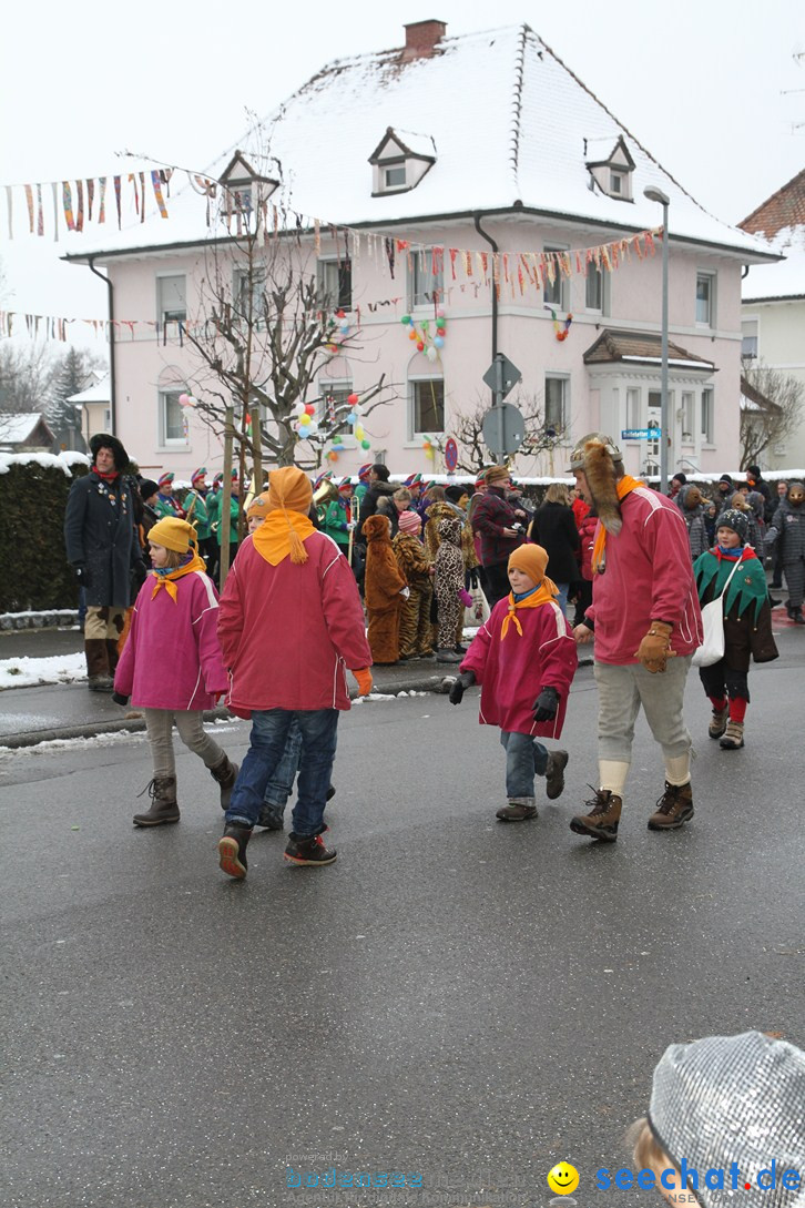 Narrentreffen-Radolfzell-20012013-bodensee-community-seechat-de_80.JPG