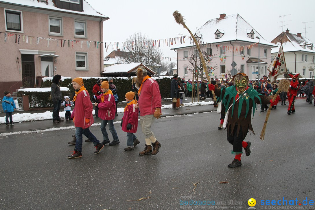 Narrentreffen-Radolfzell-20012013-bodensee-community-seechat-de_81.JPG