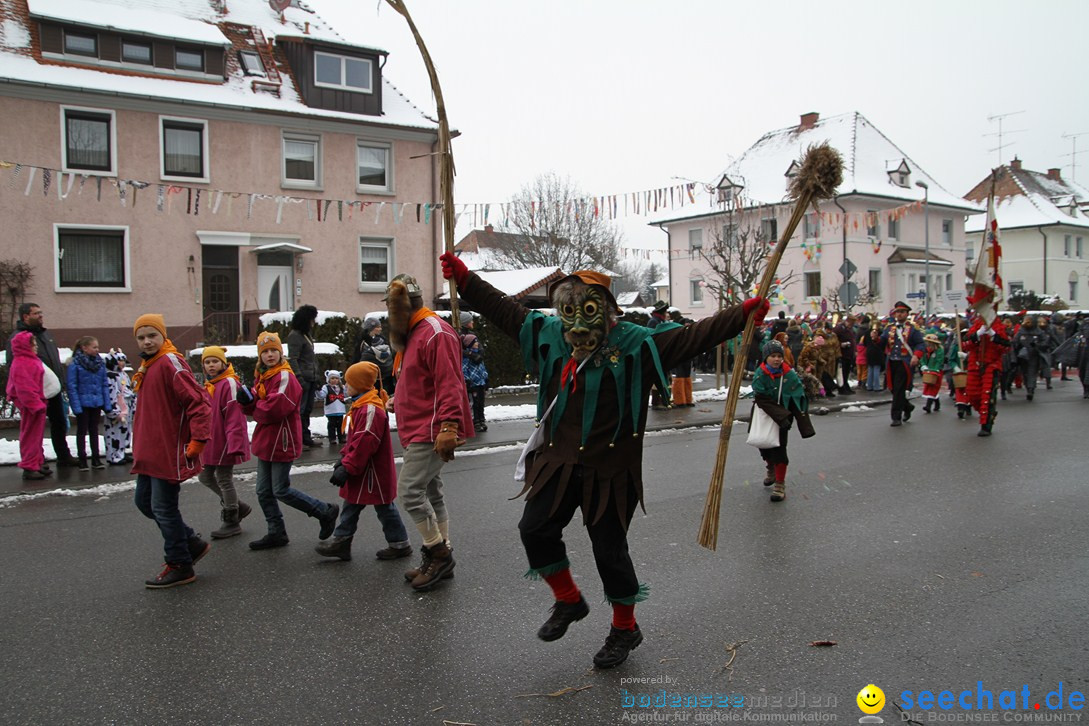 Narrentreffen-Radolfzell-20012013-bodensee-community-seechat-de_82.JPG