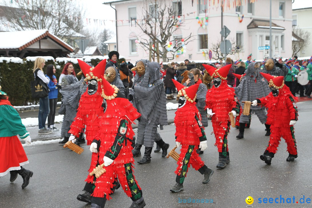 Narrentreffen-Radolfzell-20012013-bodensee-community-seechat-de_83.JPG