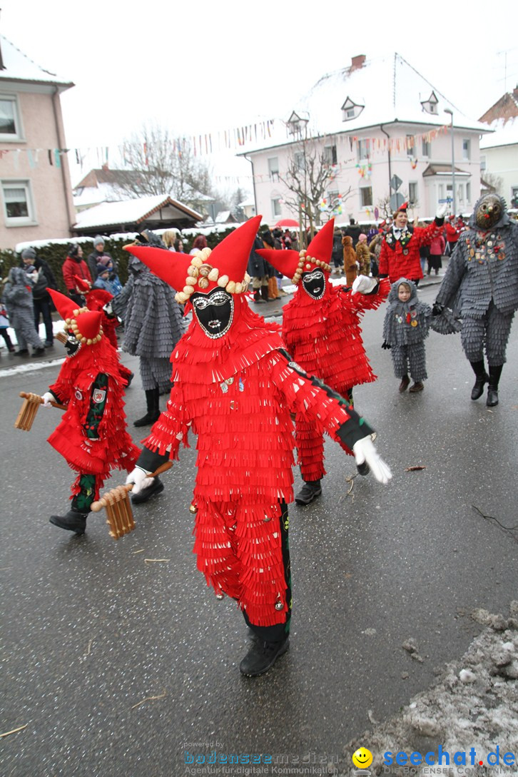 Narrentreffen-Radolfzell-20012013-bodensee-community-seechat-de_84.JPG