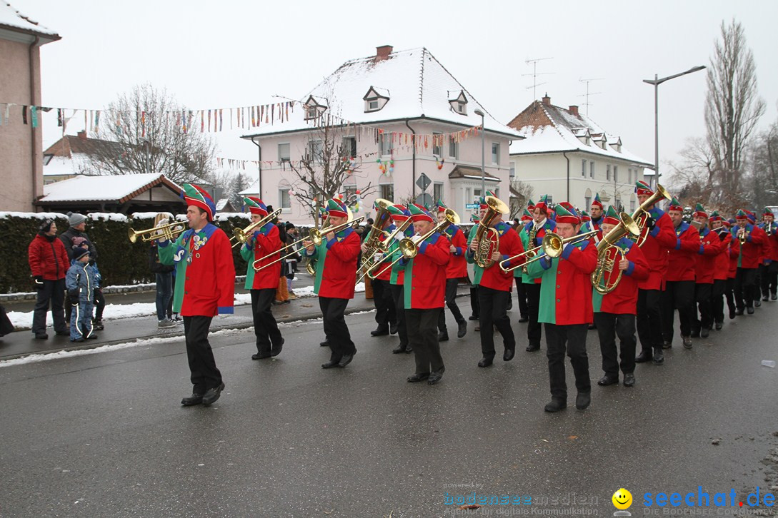 Narrentreffen-Radolfzell-20012013-bodensee-community-seechat-de_86.JPG