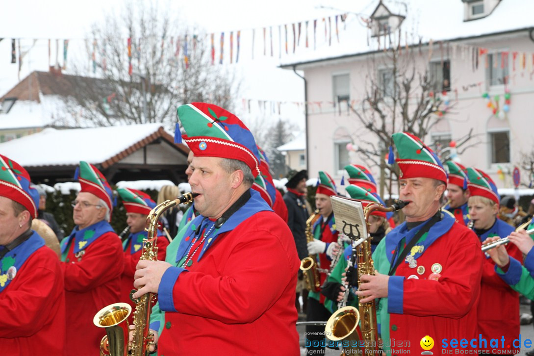 Narrentreffen-Radolfzell-20012013-bodensee-community-seechat-de_88.JPG