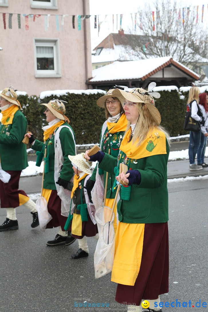 Narrentreffen-Radolfzell-20012013-bodensee-community-seechat-de_89.JPG