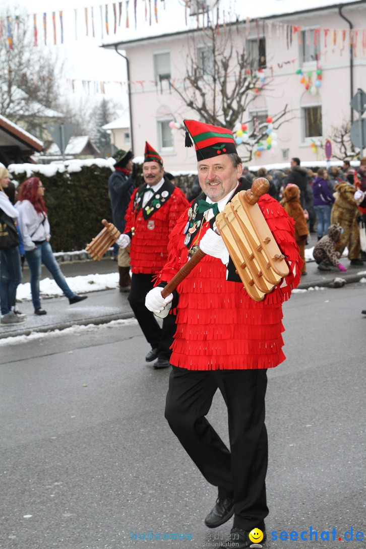 Narrentreffen-Radolfzell-20012013-bodensee-community-seechat-de_9.JPG