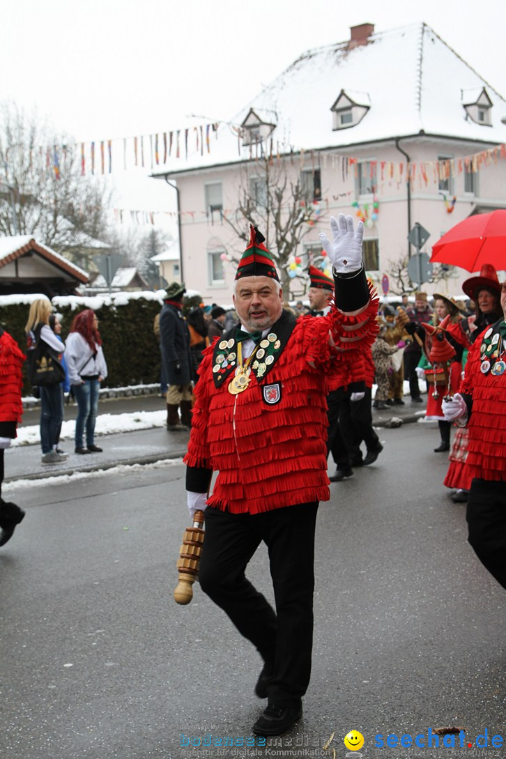 Narrentreffen-Radolfzell-20012013-bodensee-community-seechat-de_90.JPG