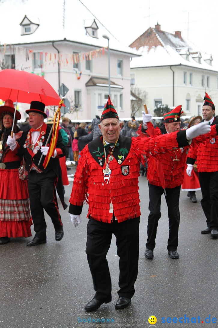 Narrentreffen-Radolfzell-20012013-bodensee-community-seechat-de_91.JPG