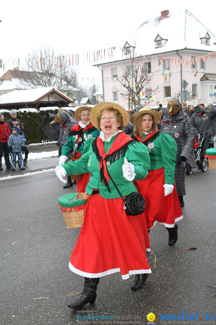 Narrentreffen-Radolfzell-20012013-bodensee-community-seechat-de_92.JPG