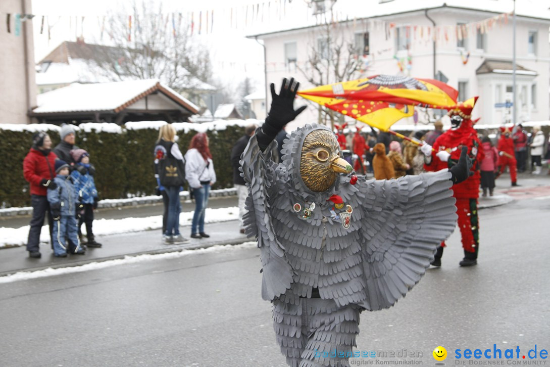 Narrentreffen-Radolfzell-20012013-bodensee-community-seechat-de_95.JPG