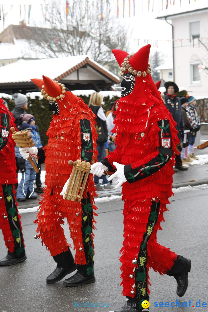 Narrentreffen-Radolfzell-20012013-bodensee-community-seechat-de_98.JPG