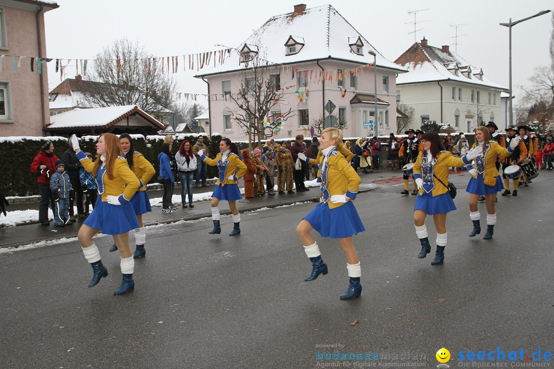 T1-Narrentreffen-Radolfzell-20012013-bodensee-community-seechat-de_469.JPG