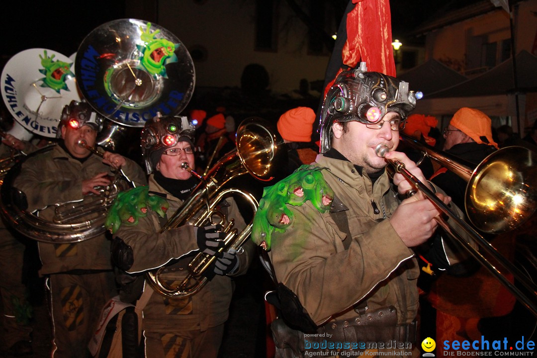 Nachtumzug und Fasnetsparty: Duchtlingen am Bodensee, 25.01.2013