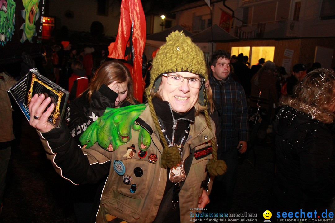 Nachtumzug und Fasnetsparty: Duchtlingen am Bodensee, 25.01.2013