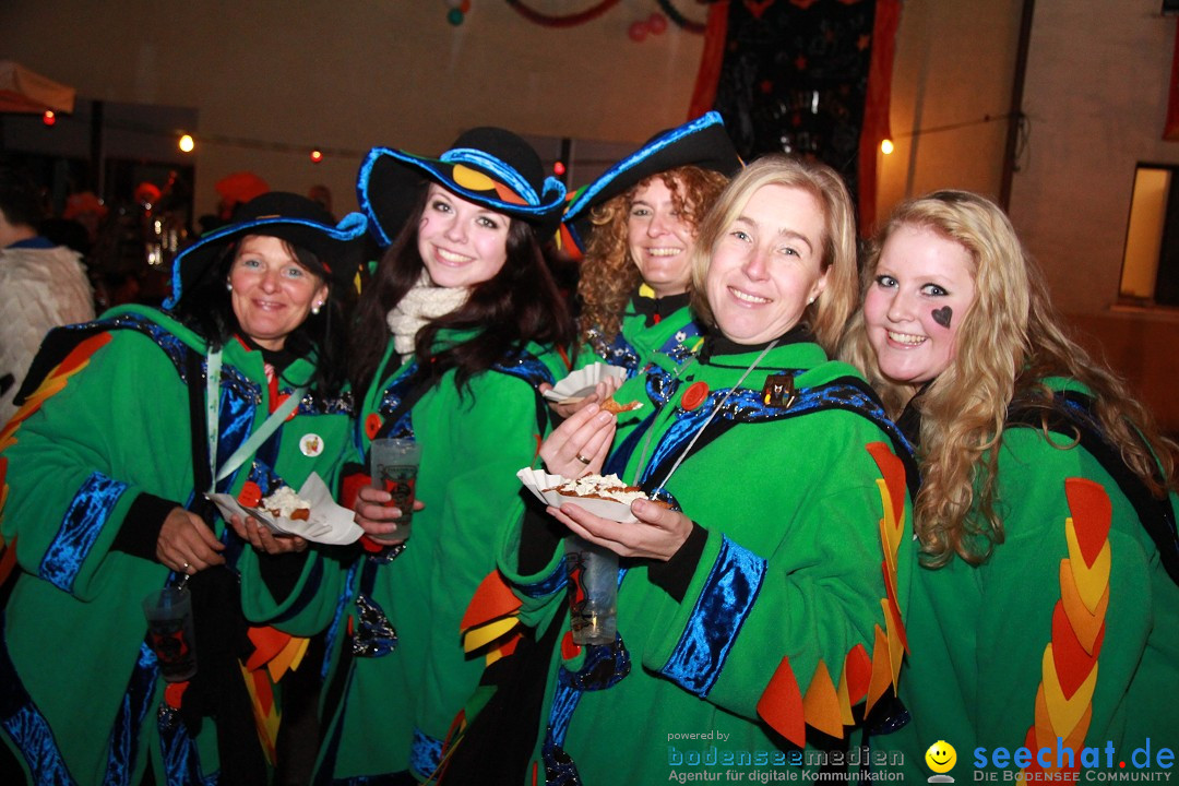 Nachtumzug und Fasnetsparty: Duchtlingen am Bodensee, 25.01.2013