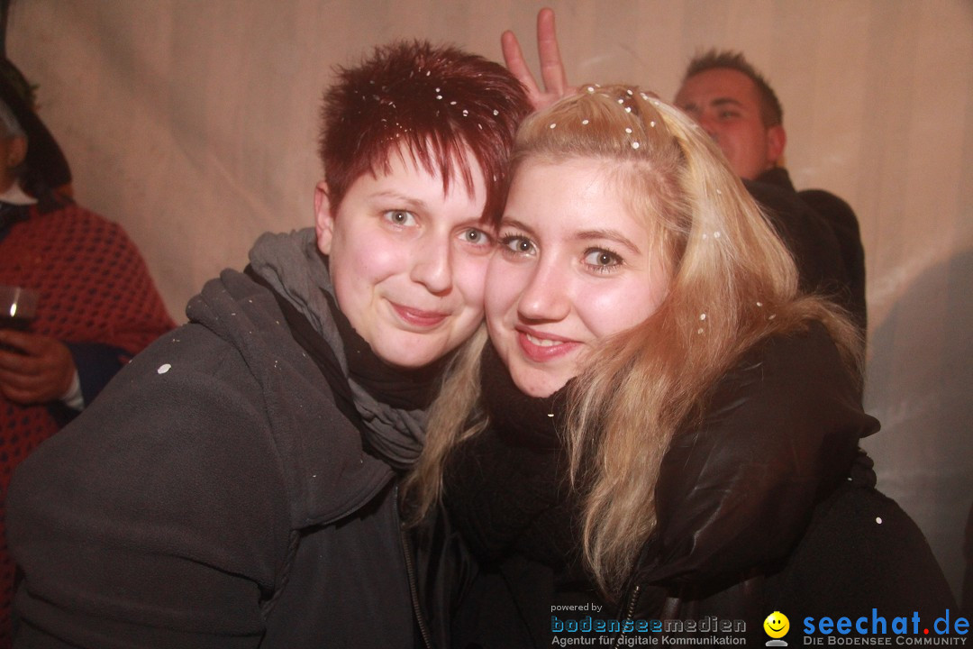 Nachtumzug und Fasnetsparty: Duchtlingen am Bodensee, 25.01.2013