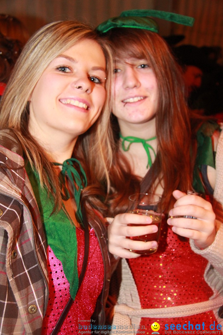 Nachtumzug und Fasnetsparty: Duchtlingen am Bodensee, 25.01.2013