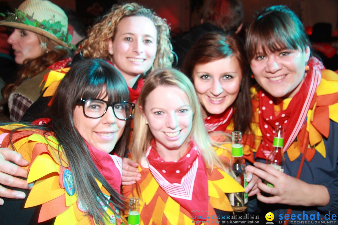 Nachtumzug und Fasnetsparty: Duchtlingen am Bodensee, 25.01.2013