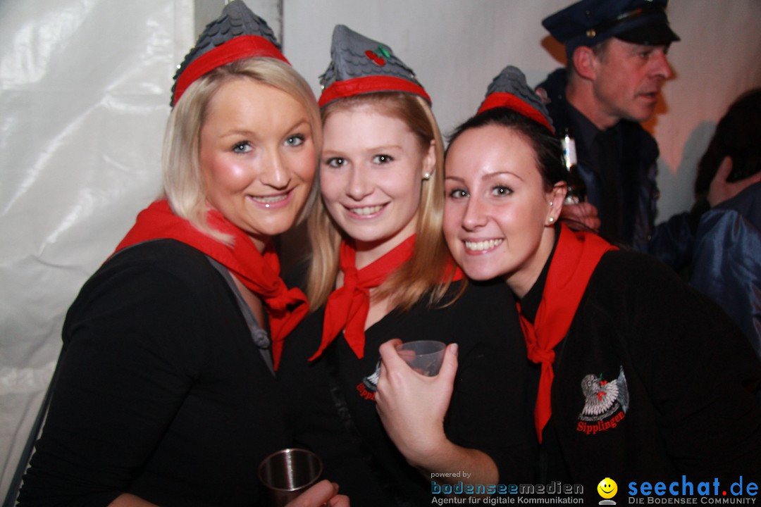 Nachtumzug und Fasnetsparty: Duchtlingen am Bodensee, 25.01.2013