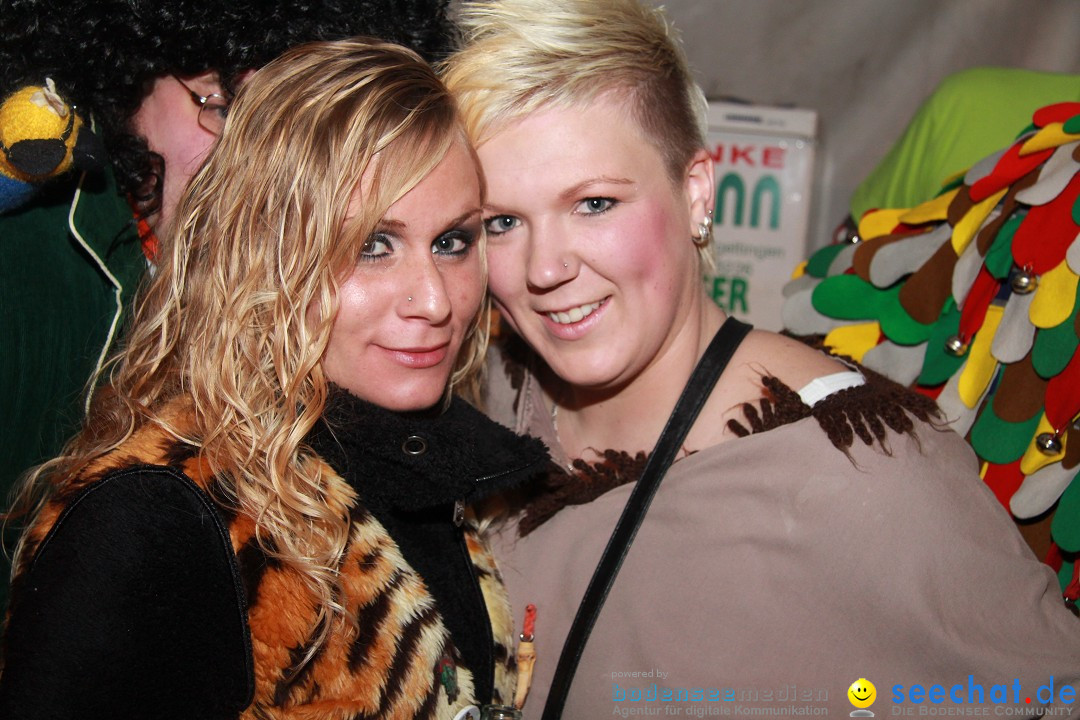 Nachtumzug und Fasnetsparty: Duchtlingen am Bodensee, 25.01.2013