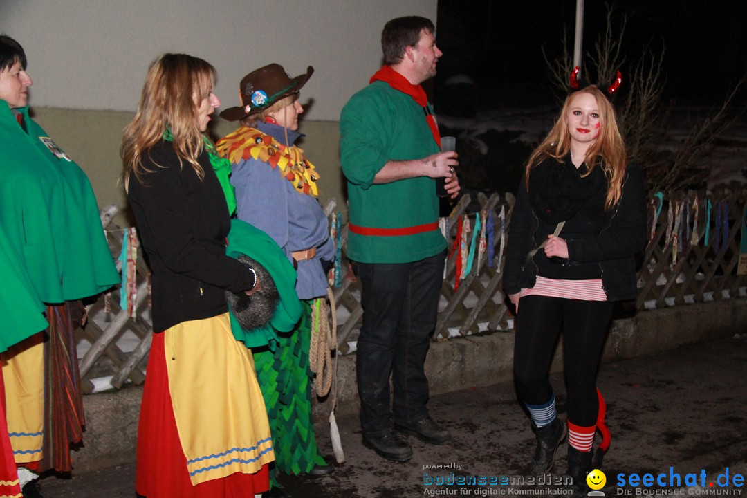 Nachtumzug und Fasnetsparty: Duchtlingen am Bodensee, 25.01.2013