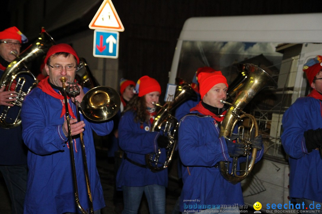 Nachtumzug und Fasnetsparty: Duchtlingen am Bodensee, 25.01.2013