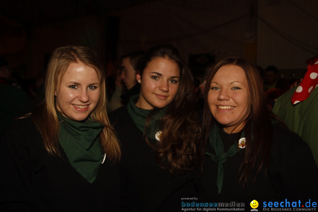 Nachtumzug und Fasnetsparty: Duchtlingen am Bodensee, 25.01.2013