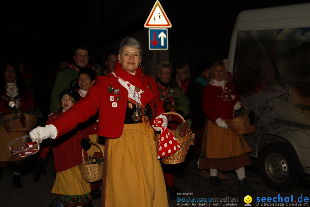 Nachtumzug und Fasnetsparty: Duchtlingen am Bodensee, 25.01.2013