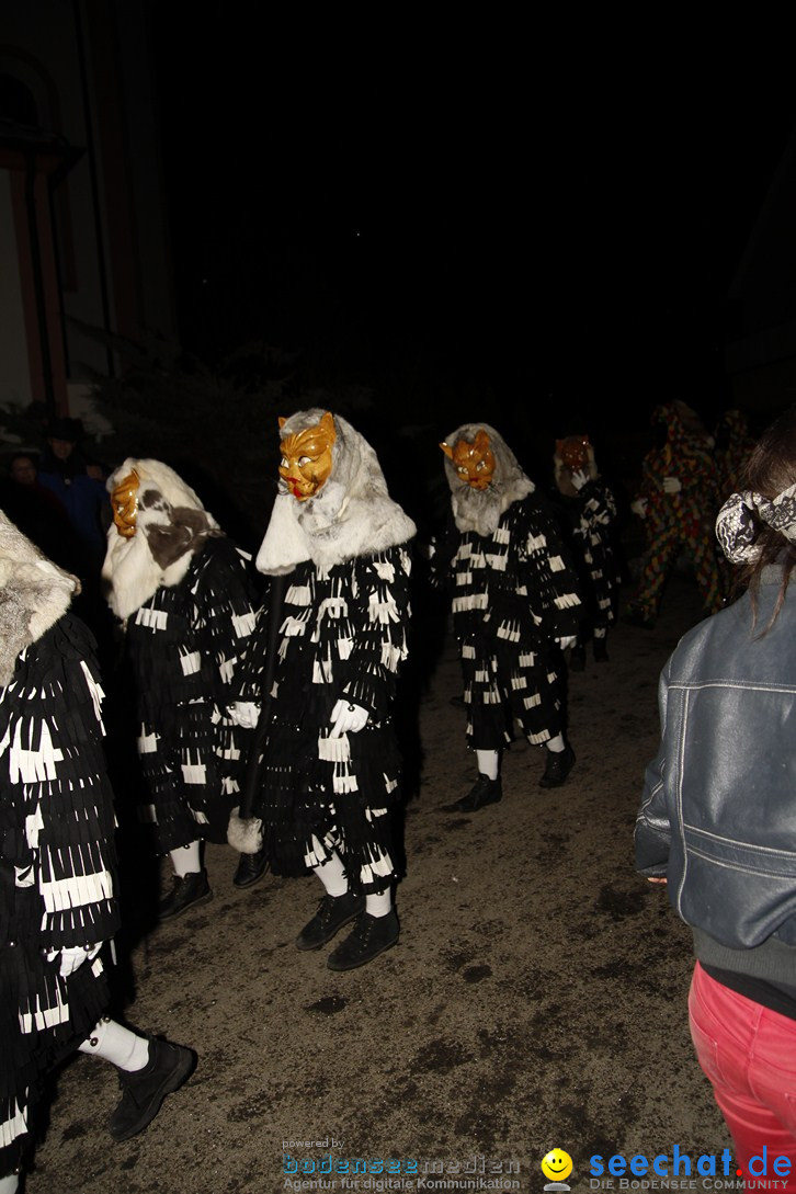 Nachtumzug und Fasnetsparty: Duchtlingen am Bodensee, 25.01.2013