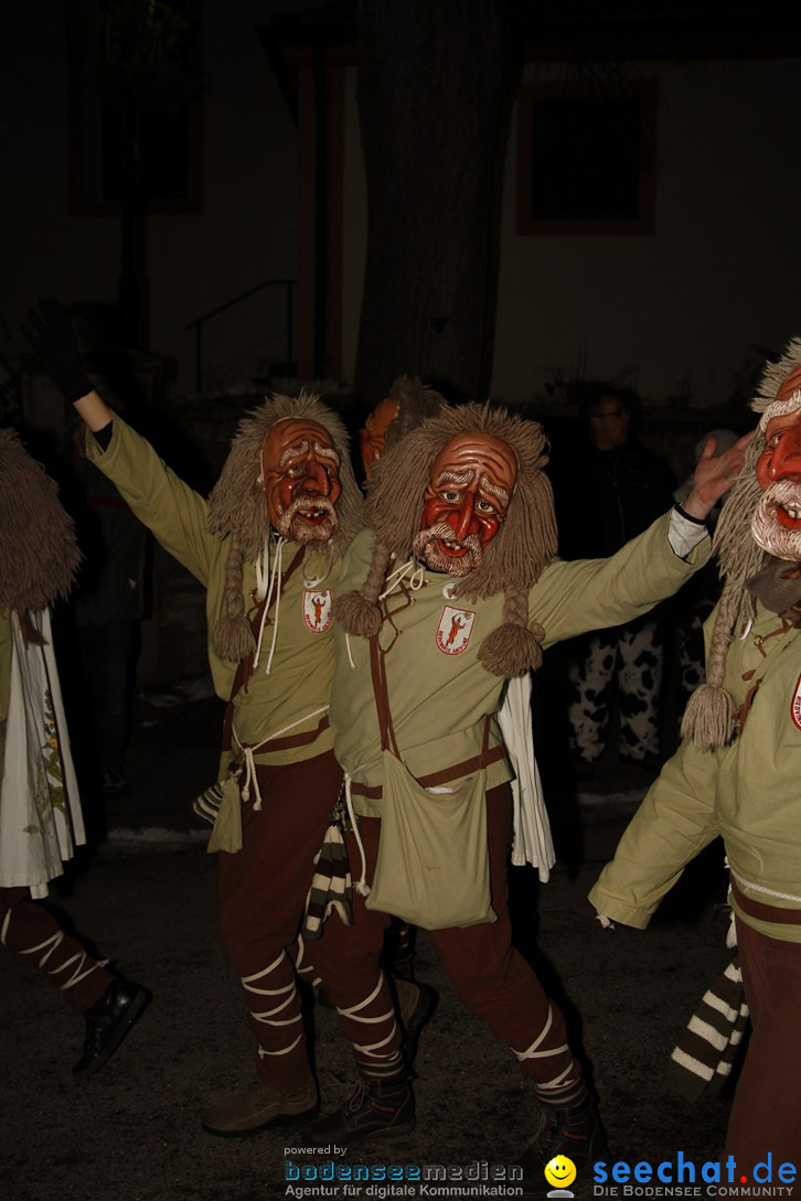 Nachtumzug und Fasnetsparty: Duchtlingen am Bodensee, 25.01.2013