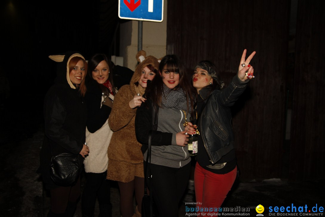 Nachtumzug und Fasnetsparty: Duchtlingen am Bodensee, 25.01.2013