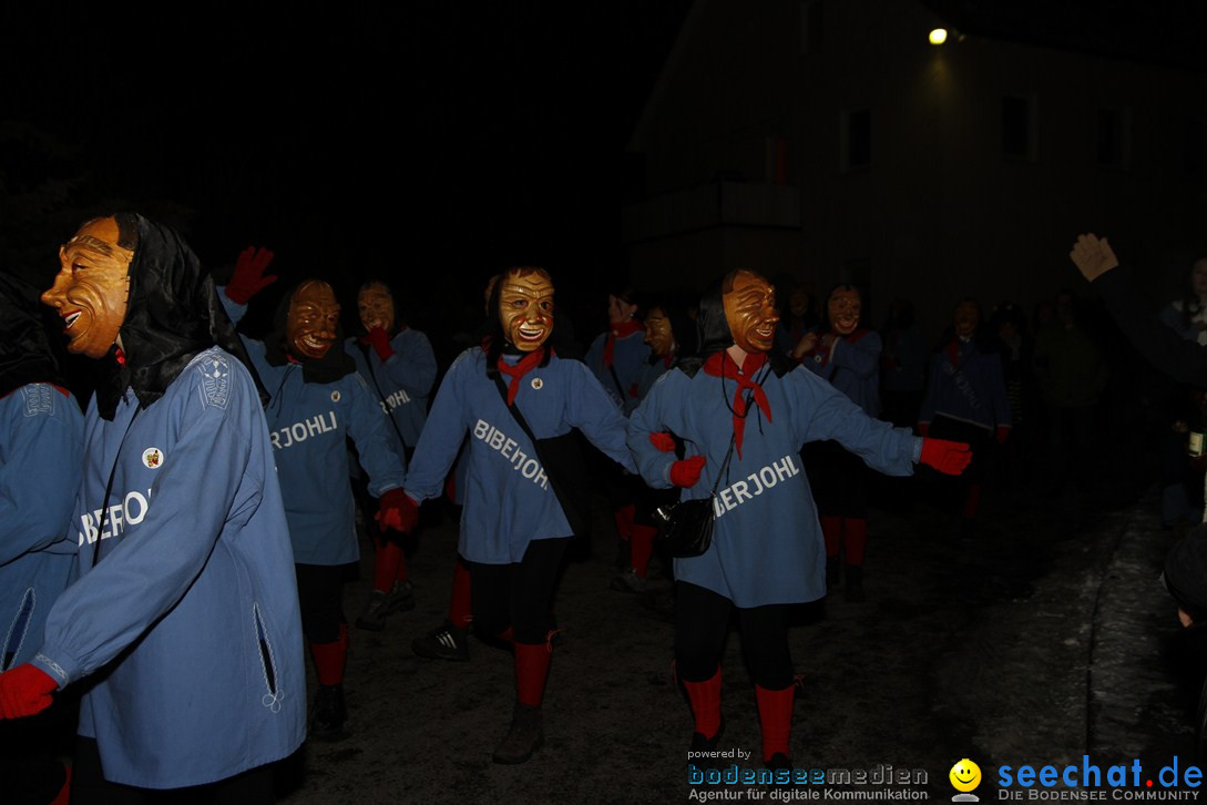 Nachtumzug und Fasnetsparty: Duchtlingen am Bodensee, 25.01.2013