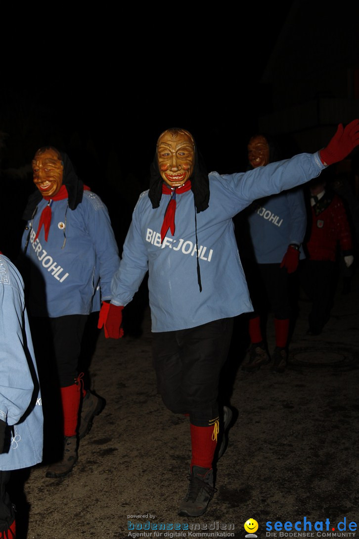 Nachtumzug und Fasnetsparty: Duchtlingen am Bodensee, 25.01.2013