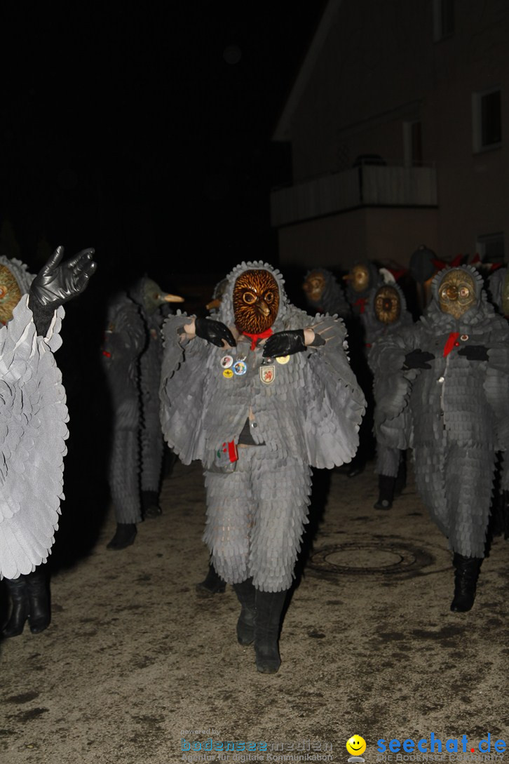 Nachtumzug und Fasnetsparty: Duchtlingen am Bodensee, 25.01.2013