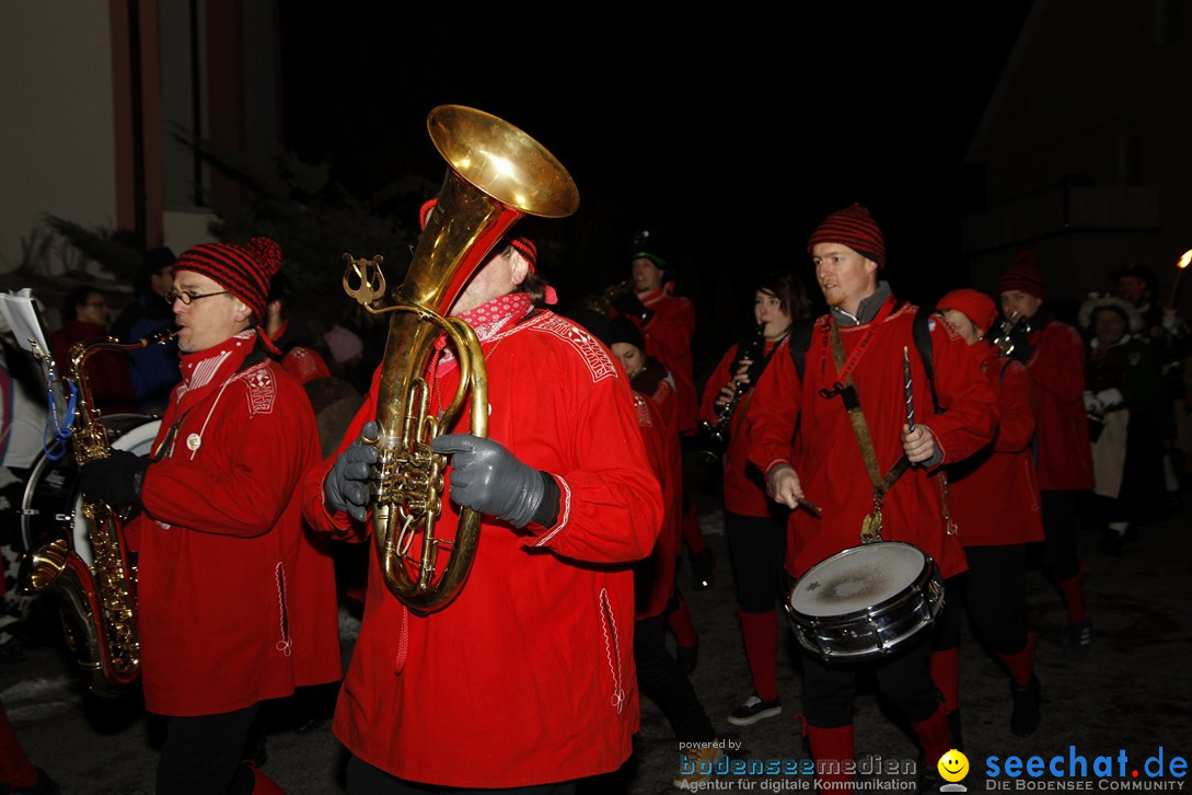 Nachtumzug und Fasnetsparty: Duchtlingen am Bodensee, 25.01.2013