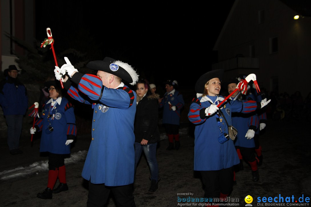 Nachtumzug und Fasnetsparty: Duchtlingen am Bodensee, 25.01.2013