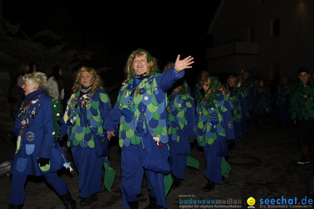 Nachtumzug und Fasnetsparty: Duchtlingen am Bodensee, 25.01.2013