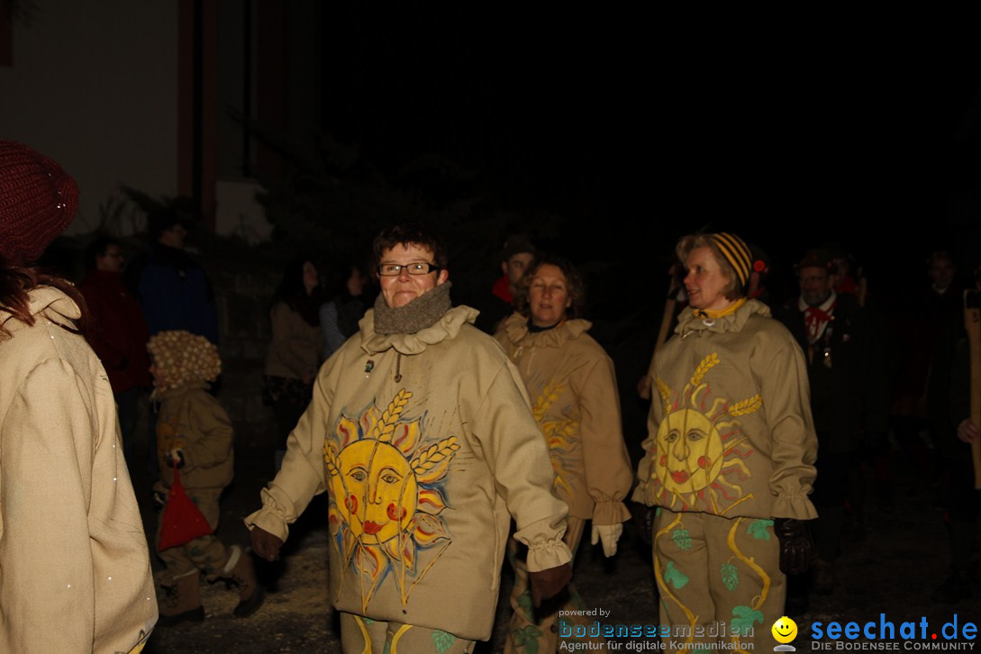 Nachtumzug und Fasnetsparty: Duchtlingen am Bodensee, 25.01.2013