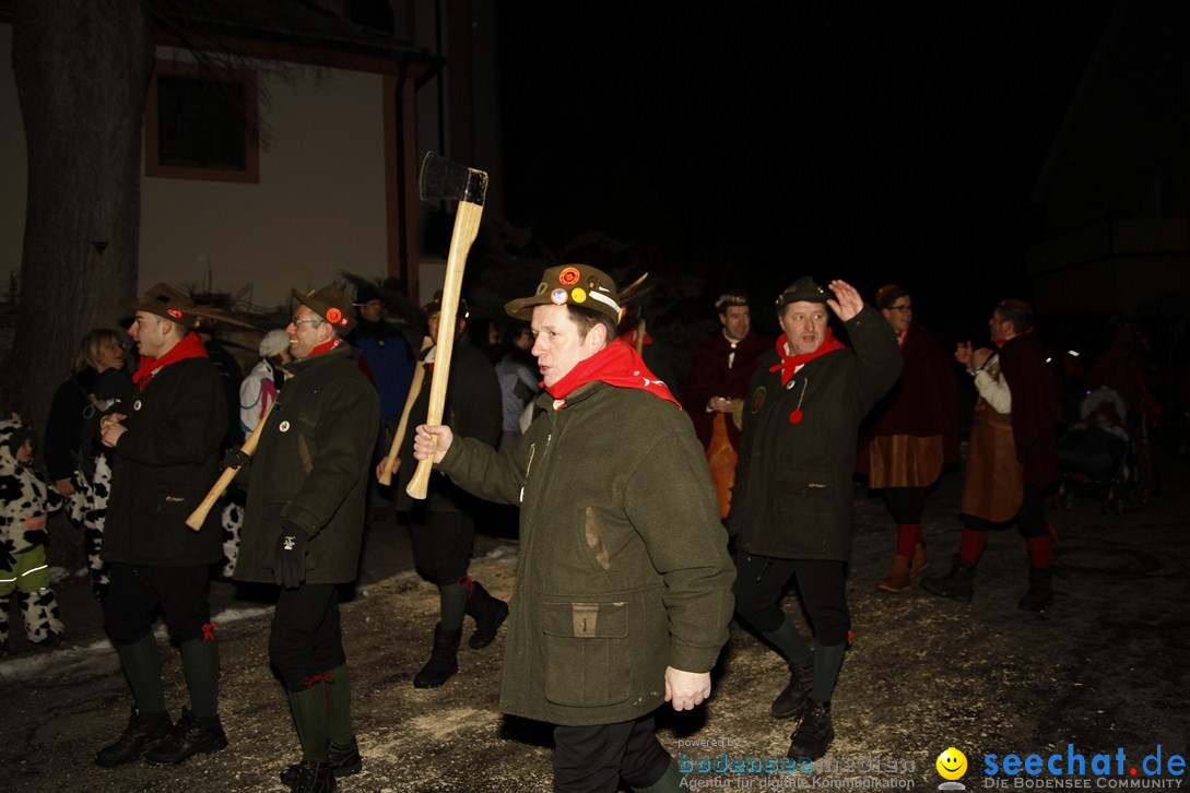 Nachtumzug und Fasnetsparty: Duchtlingen am Bodensee, 25.01.2013