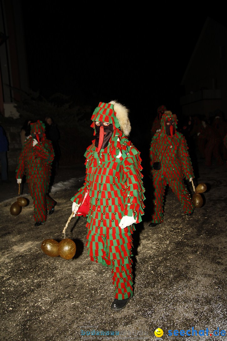 Nachtumzug und Fasnetsparty: Duchtlingen am Bodensee, 25.01.2013