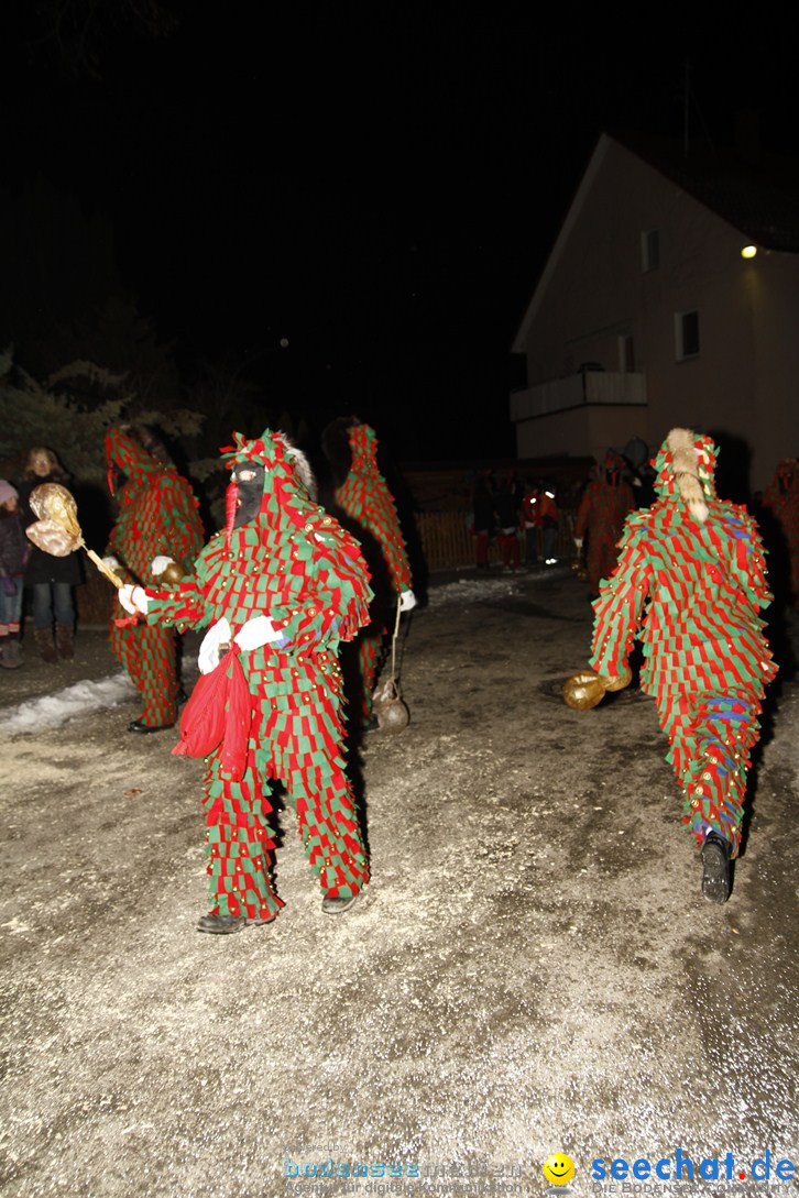 Nachtumzug und Fasnetsparty: Duchtlingen am Bodensee, 25.01.2013