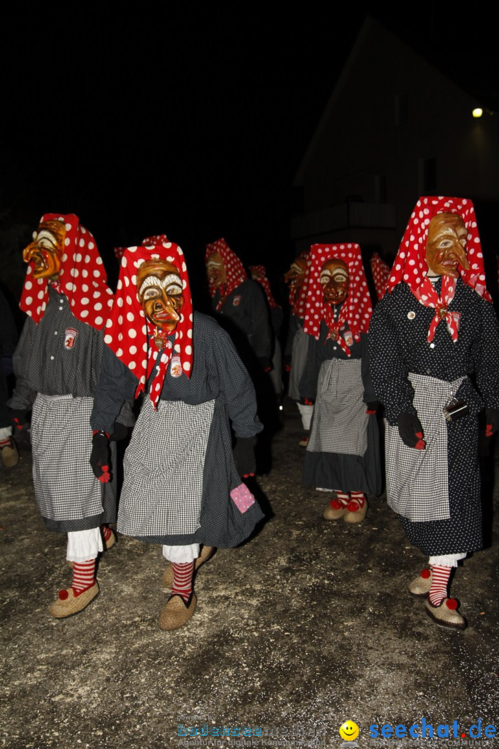 Nachtumzug und Fasnetsparty: Duchtlingen am Bodensee, 25.01.2013