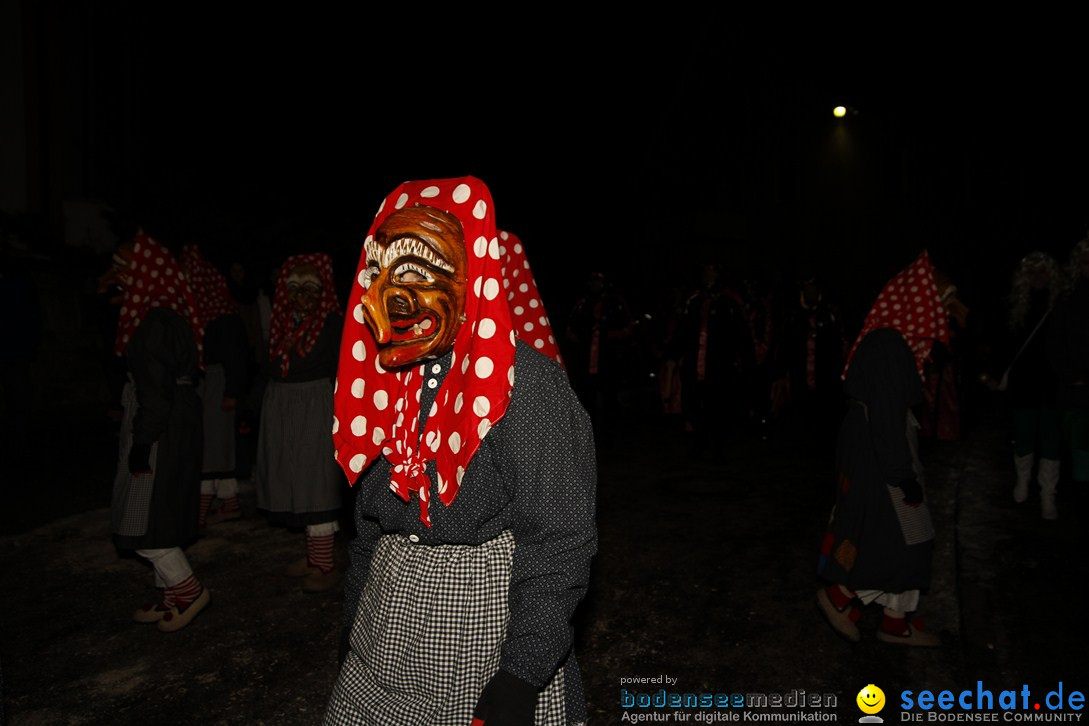 Nachtumzug und Fasnetsparty: Duchtlingen am Bodensee, 25.01.2013