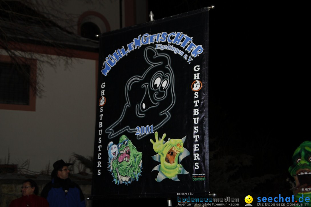 Nachtumzug und Fasnetsparty: Duchtlingen am Bodensee, 25.01.2013