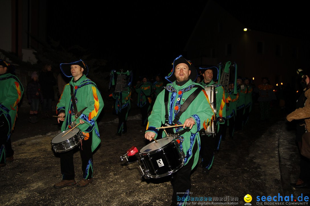 Nachtumzug und Fasnetsparty: Duchtlingen am Bodensee, 25.01.2013