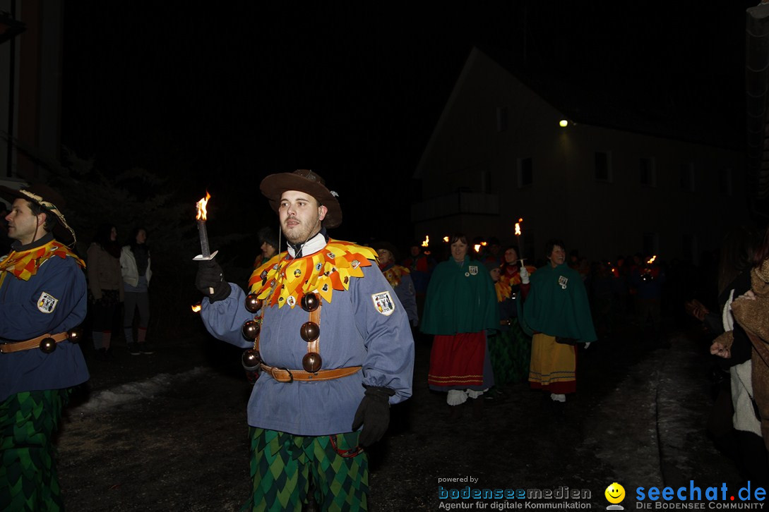 Nachtumzug und Fasnetsparty: Duchtlingen am Bodensee, 25.01.2013